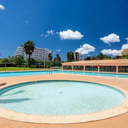 Paraiso Sol Da Rocha - Silhueta Citadina